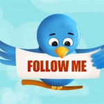 twitter_bird_follow_me__Small__bigger